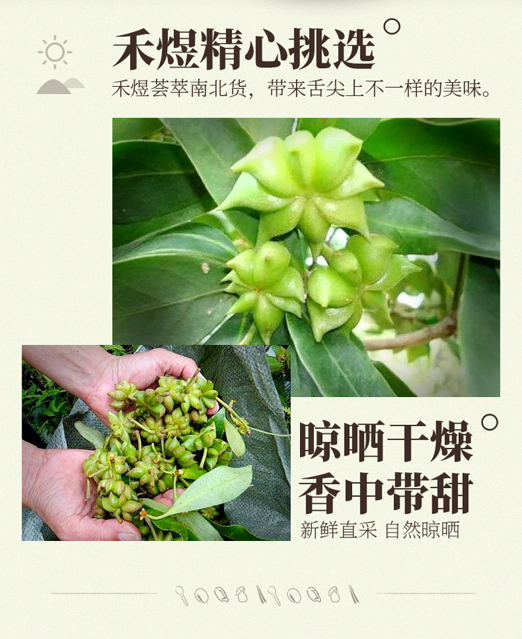 【包邮】禾煜 大茴100g八角 大茴香料桂皮组合香料 茴香调味料