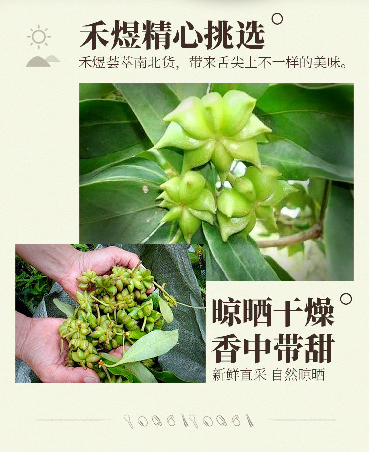 厂家直销 包邮 禾煜 大料50g 八角茴香 花椒 辣椒干 桂皮调料品 烹饪香料 厨房调味料红烧卤料包