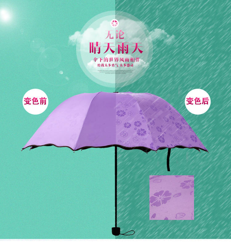 遇水开花雨伞折叠太阳伞 （颜色随机）