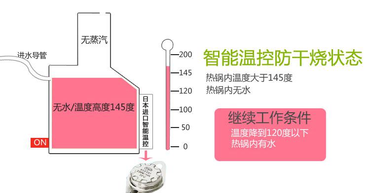 美克斯/MKS NV309  蒸汽挂烫机蒸汽熨斗家用