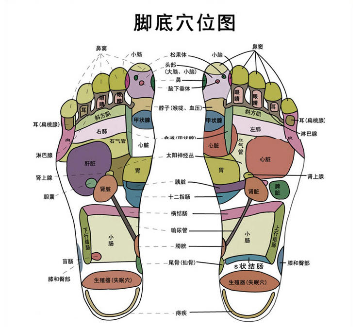 KASRROW/凯仕乐 KSR-A683 足浴盆