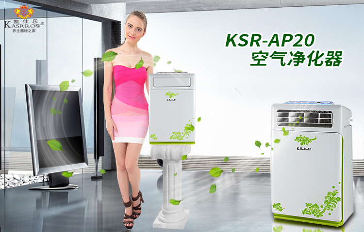 凯仕乐（国际品牌）KSR-AP20空气净化器加湿除甲醛 PM2.5 全功能型