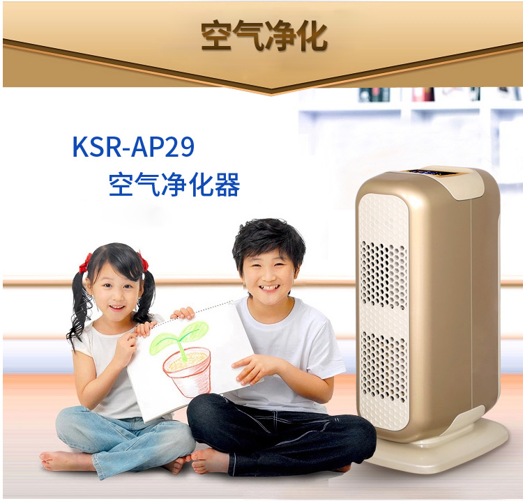 凯仕乐/KASRROW KSR-AP29  空气净化器