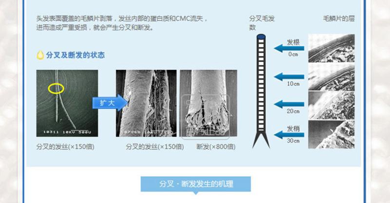 资生堂 水之密语洗护4件套 洗发水600ml+护发素600ml+可悠然沐浴露550ml+洁面乳120