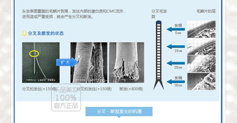 资生堂 水之密语凝润水护护发素 600ml （蓝色版本）