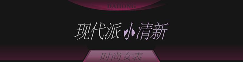 DAHONG专柜正品韩国女款时尚个性手表皮带石英表防水表 合金表HC-60018