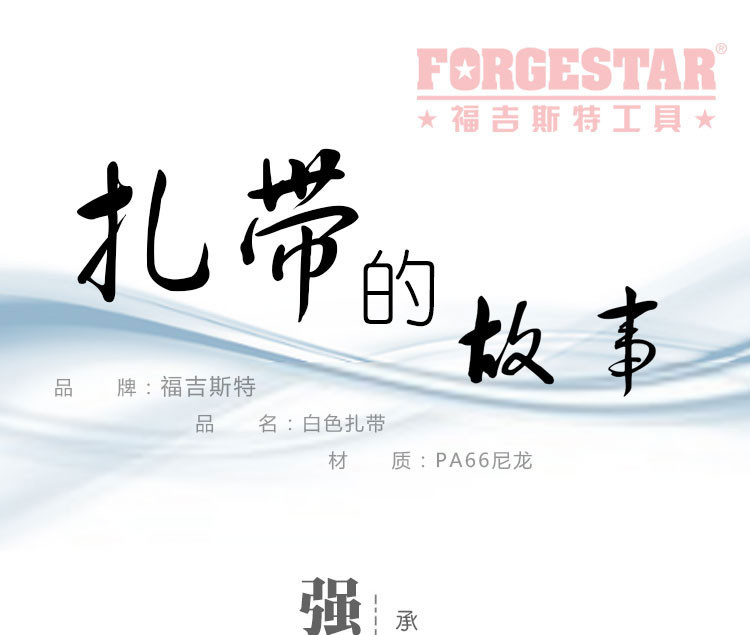 福吉斯特（Forgestar）尼龙扎带 塑料封条100件装捆扎线带 绑扎带2.5*200mm