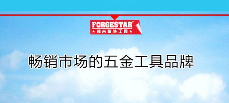 福吉斯特（Forgestar）家用多功能综合维修组套16件木工机修工具套装组合 TKB460B-16