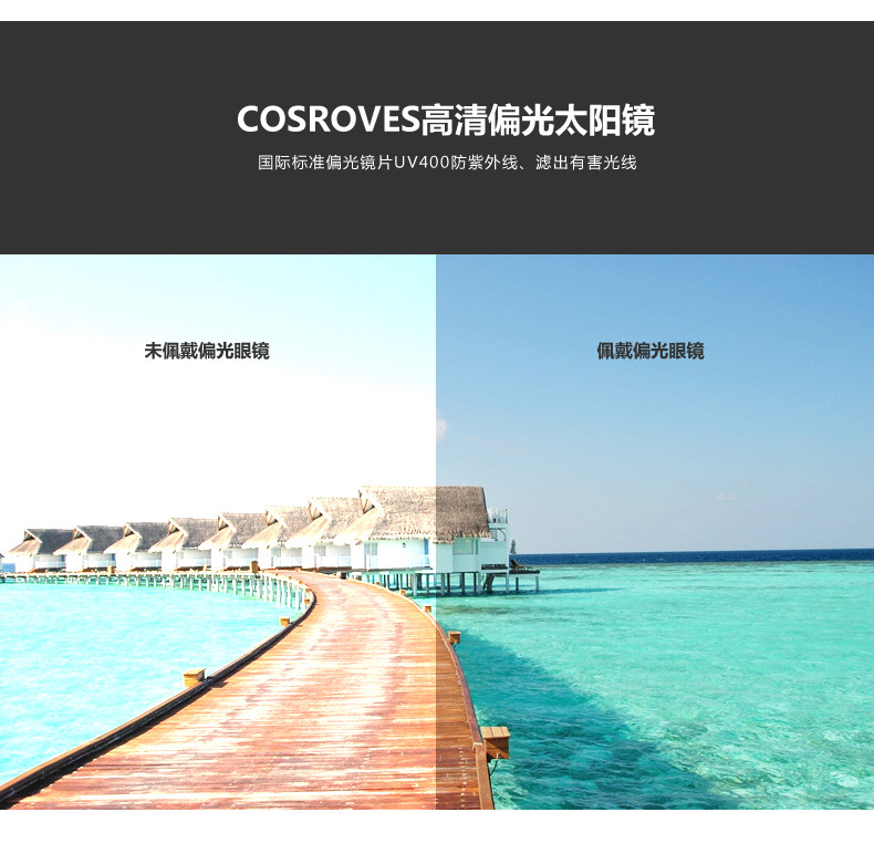 COSROVES 新款圆形护目高清偏光镜防紫外线女款大框眼镜SG17006