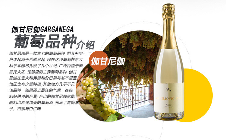 东唐酒歌 意大利原瓶进口 威尼托大区 费里尼干白起泡葡萄酒 750ml 包邮