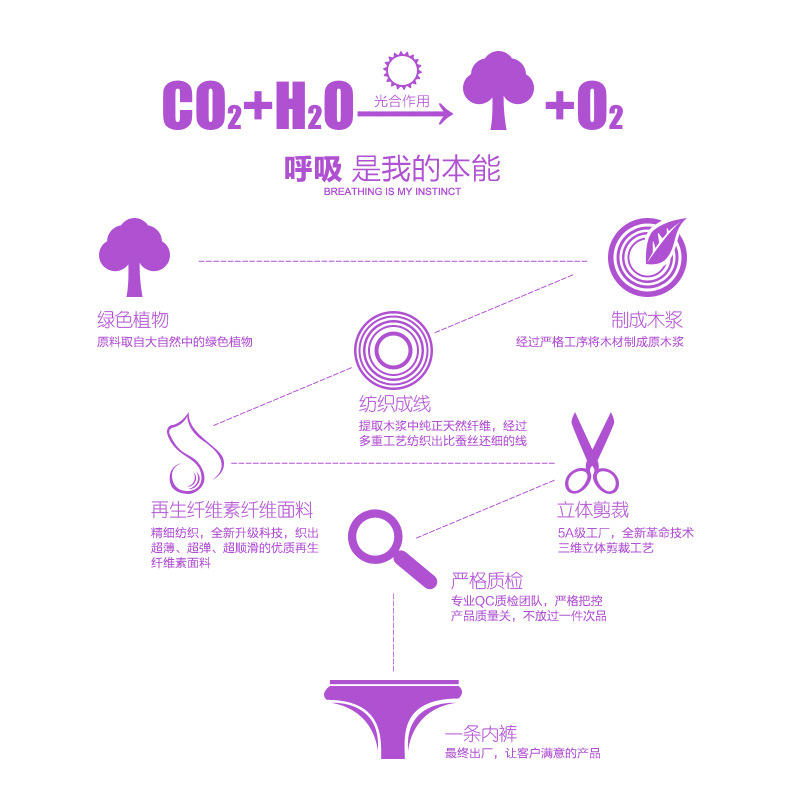 天蝎独舞 【5条装】 中腰性感蕾丝边舒适透气女士内裤 纯棉女式三角裤