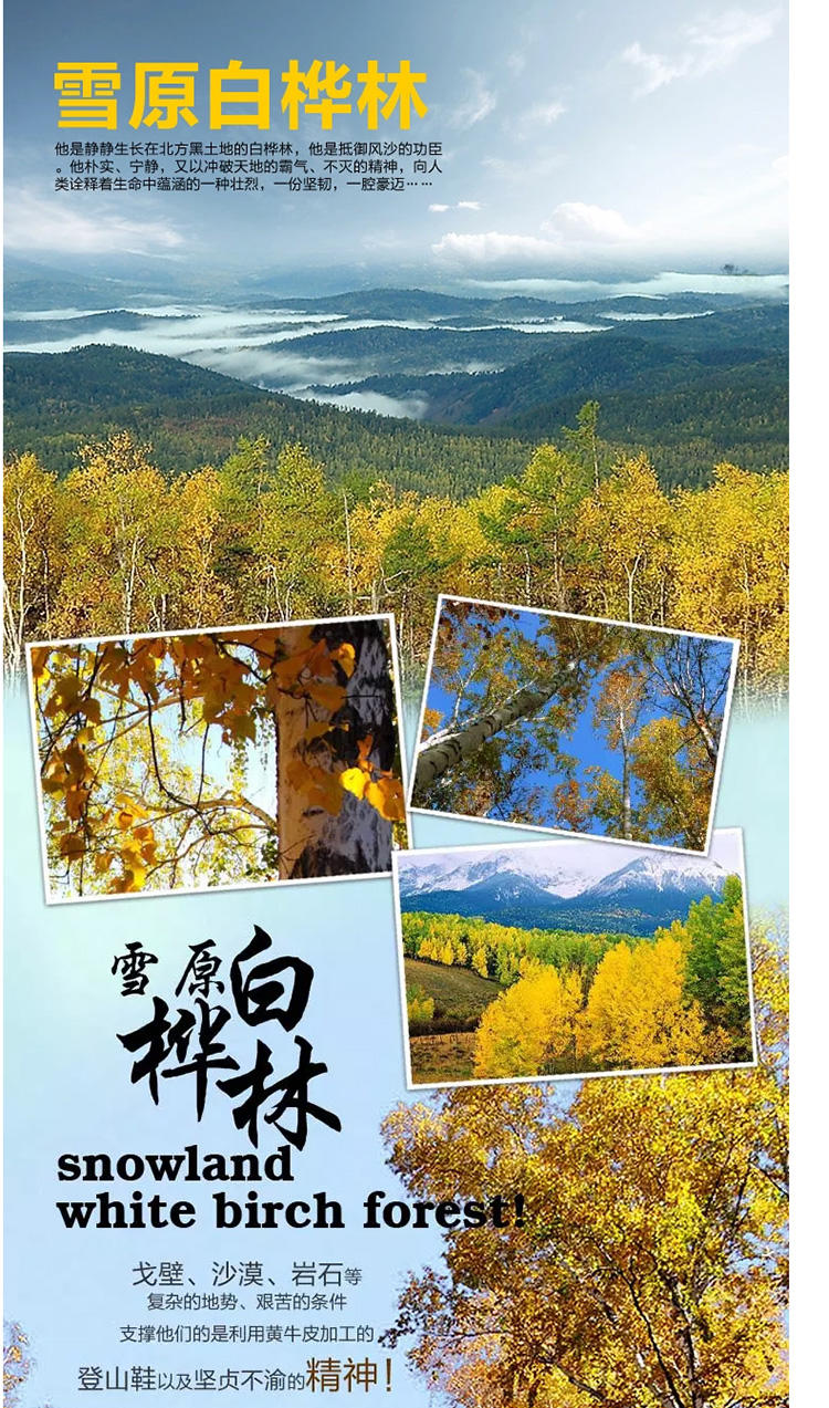 KingCamp/康尔户外登山防滑透气头层黄牛皮情侣登山鞋 KF8109