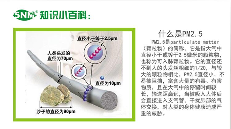 5NM 抗菌防PM2.5防霾口罩-时尚假面素色系列均码