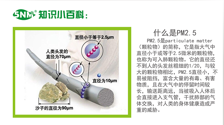 5NM 抗菌防PM2.5防霾口罩-时尚假面撞色系列均码 加厚型