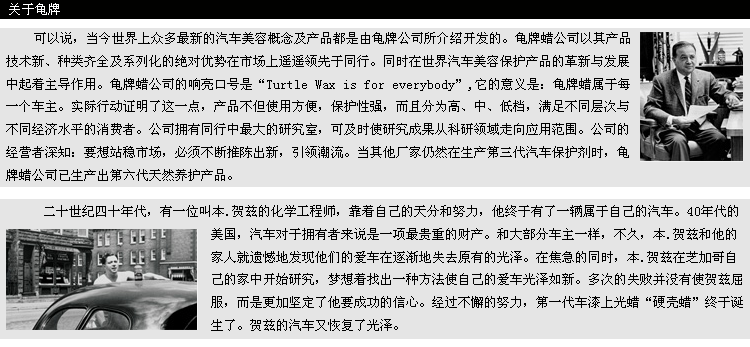 龟牌玻璃清洁剂 G-420 玻璃祛虫胶树粘清洗剂车窗后视镜金属去污