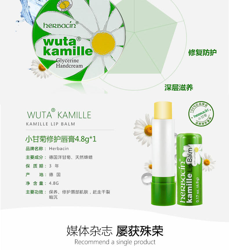 小甘菊 小甘菊纪念礼盒