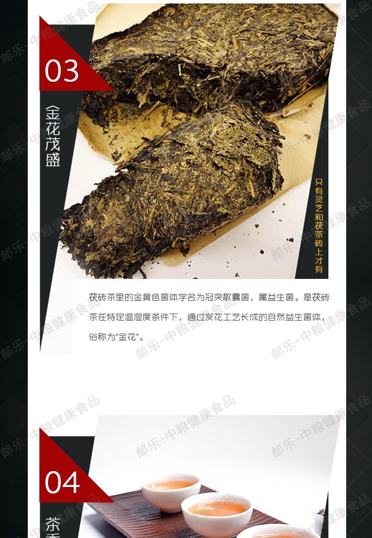 中茶黑茶园 安化黑茶 2010年闻黑手筑茯砖1kg（2块赠礼袋）5年陈化品质卓著 中粮出品