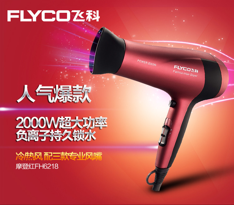 飞科（FLYCO）FH6218专业电吹风1800W大功率 家用静音负离子吹风筒