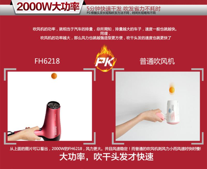 飞科（FLYCO）FH6218专业电吹风1800W大功率 家用静音负离子吹风筒