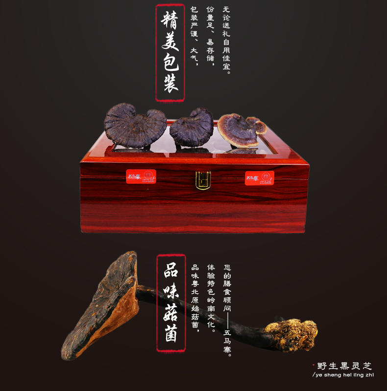 五马寨野生黑灵芝 500g/盒