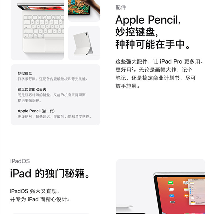 Apple iPad Pro 11英寸平板电脑 2021年款 256G WLAN版/M1芯片苹果平板