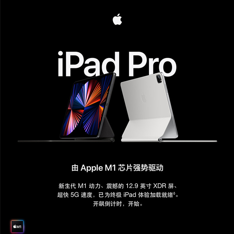 Apple iPad Pro 11英寸平板电脑 2021年款 256G WLAN版/M1芯片苹果平板