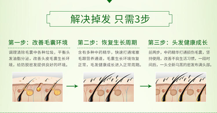 霸王 防脱洗发液控油去屑型400ml送护发素80ml 温和防脱  控油净屑229245