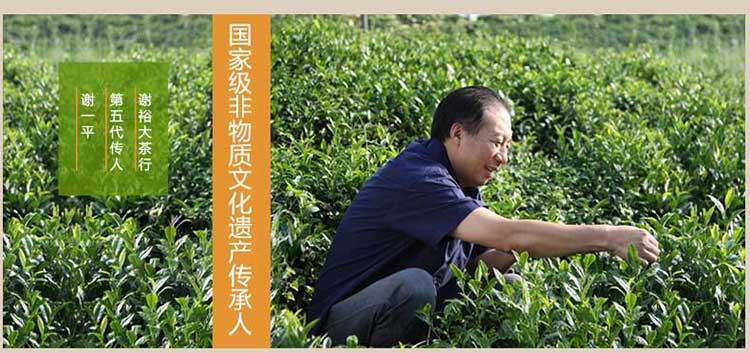 2017年新茶上市 谢裕大黄山毛峰高香古峰100g袋二级绿茶茶叶