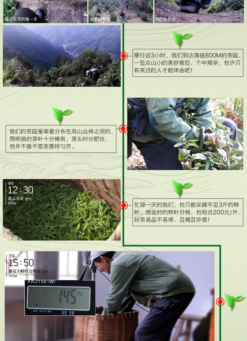 2017年新茶春茶上市 谢裕大黄山毛峰 国宾礼茶260g礼盒 特一级（五星)绿茶 茶叶