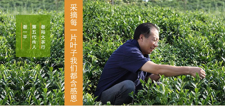 2017年新茶上市谢裕大黄山毛峰古法制形100g袋 特级三揉 雨前绿茶茶叶