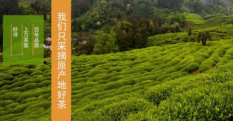 2017年新茶上市 谢裕大太平猴魁一品悠然200g礼盒一级 明前绿茶 茶叶