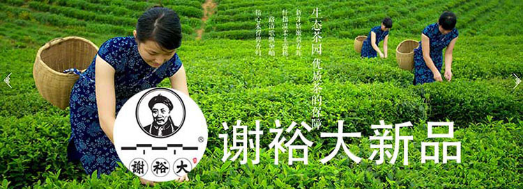 2017年新茶上市谢裕大黄山毛峰古法制形100g袋 特级三揉 雨前绿茶茶叶