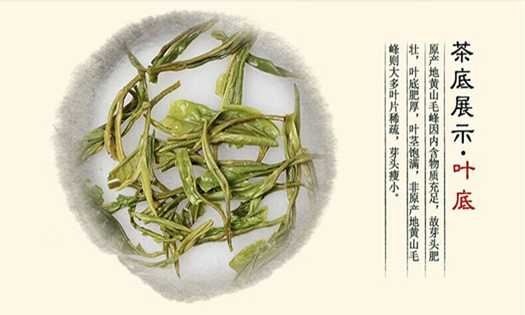 2017年新茶上市 谢裕大黄山毛峰古法制形50g听特三揉绿茶茶叶