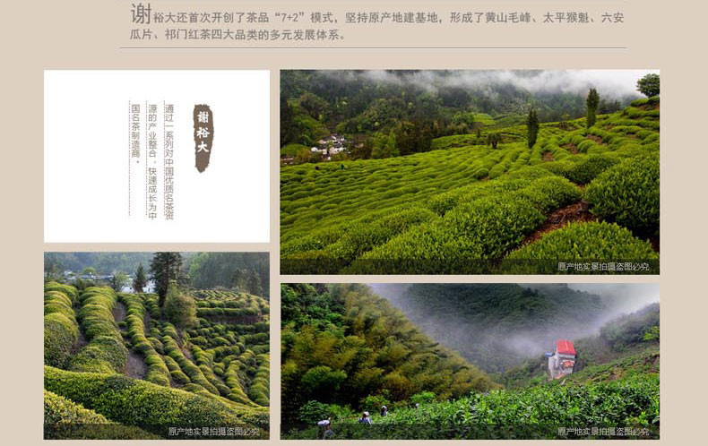 2017年新茶上市 谢裕大黄山毛峰 早春翠峰300g礼盒一级绿茶茶叶