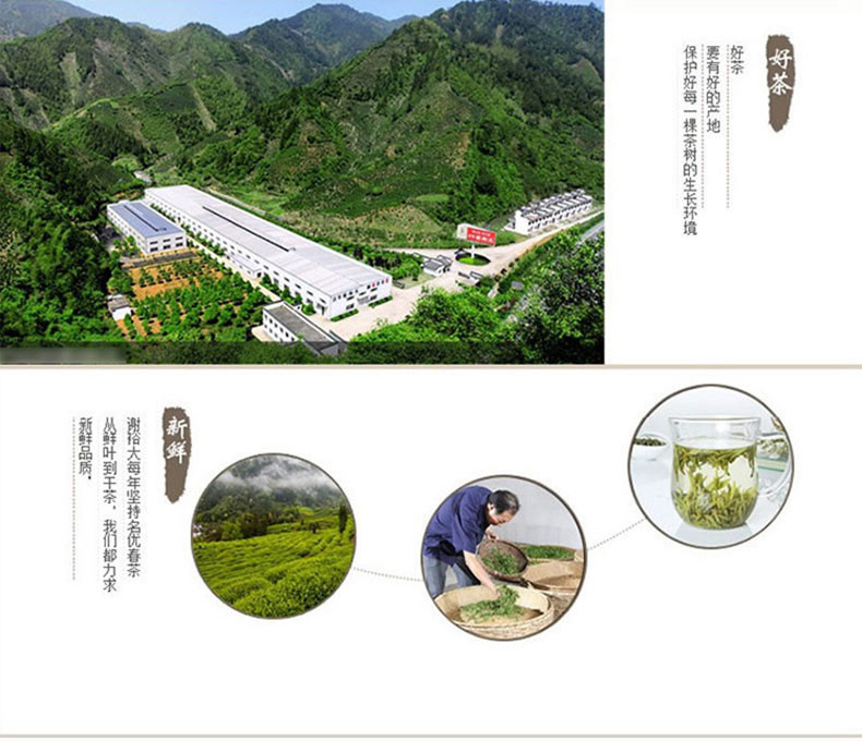 2017年新茶春茶上市 谢裕大黄山毛峰早春翠峰100g袋一级雨前绿茶茶叶