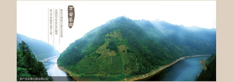 2017年新茶上市 谢裕大祁门红茶经典红悦毛峰75g听特级雨前红茶茶叶