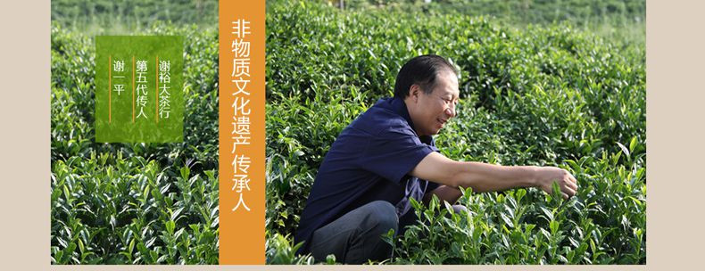 2017年新茶上市 谢裕大祁门红茶经典红悦毛峰75g听特级雨前红茶茶叶