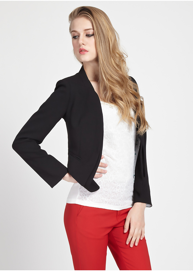 罗卡斯 2014秋装新款 时尚OL韩版修身一粒扣长袖外套女 小西装 14-3209