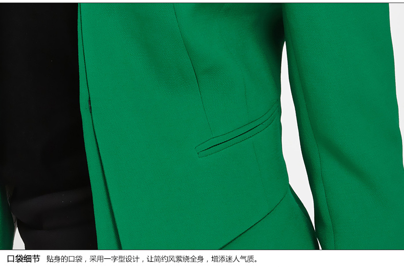 罗卡斯 2014秋装新款 时尚OL韩版修身一粒扣长袖外套女 小西装 14-3209