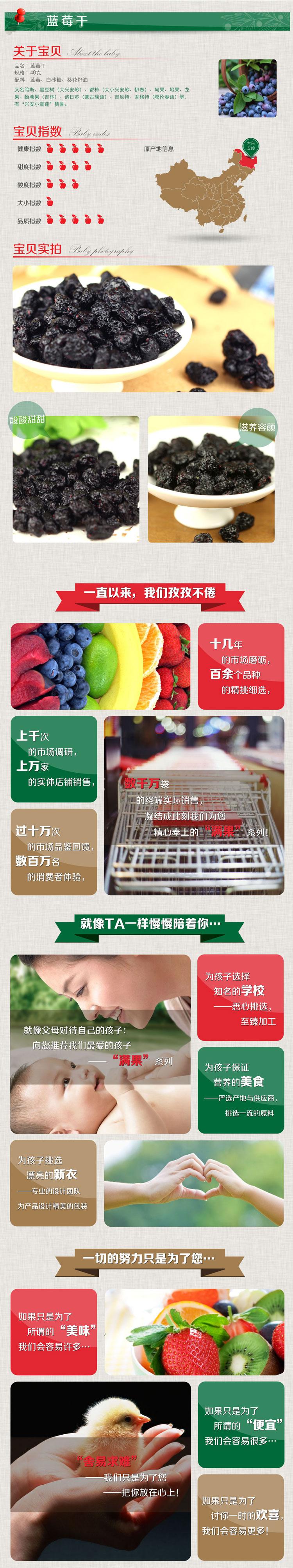 【大福记】满果庄园 蓝莓干 40g