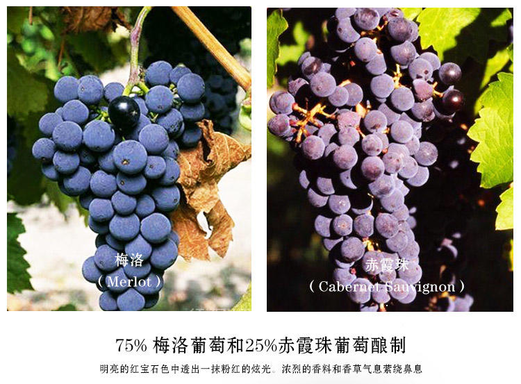 法国CASTEL红酒卡思黛乐瑞泰伯爵波尔多干红葡萄酒Bordeaux750ml