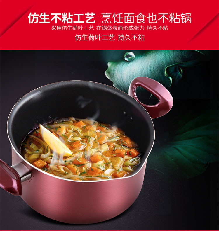 COOKER KING 炊大皇  新溢彩汤锅22cm WG14320