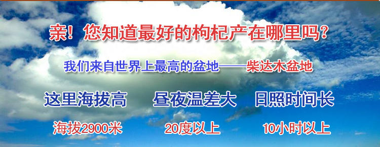 【红杞】红杞枸杞  红色纸袋装 300克