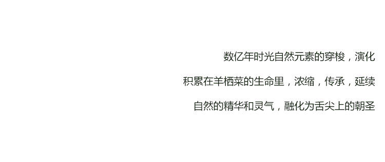 羊栖菜芽 干货40克 中国洞头 外贸产品 出口日本长寿菜