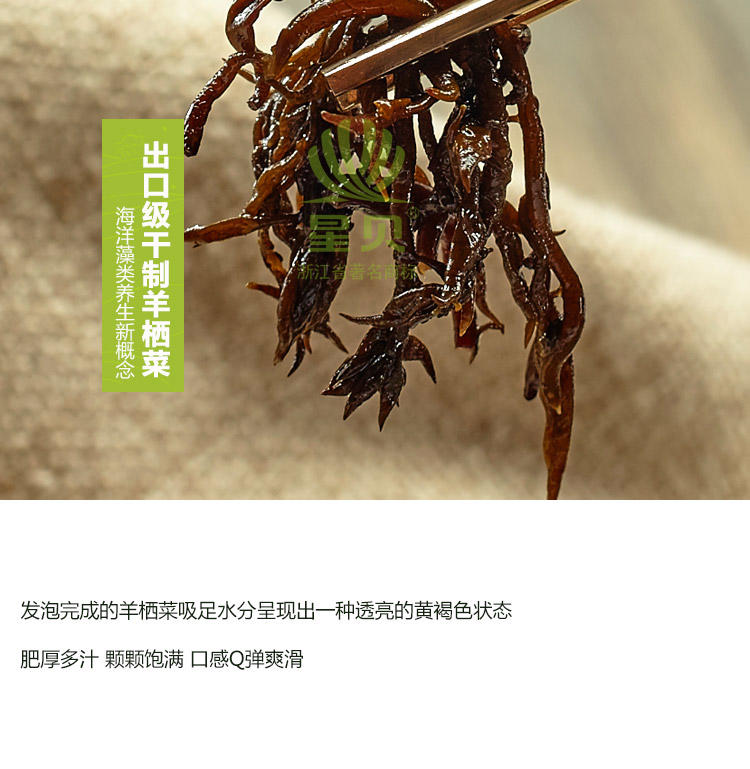 羊栖菜芽 干货40克 中国洞头 外贸产品 出口日本长寿菜