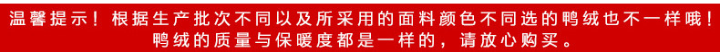 梦娜世家冬季轻薄修身女士短款时尚保暖秋羽绒2430