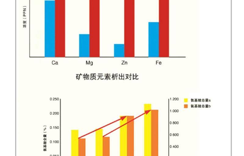 SUPOR/苏泊尔陶瓷煲 3.5L健康养生煲 TB35A1