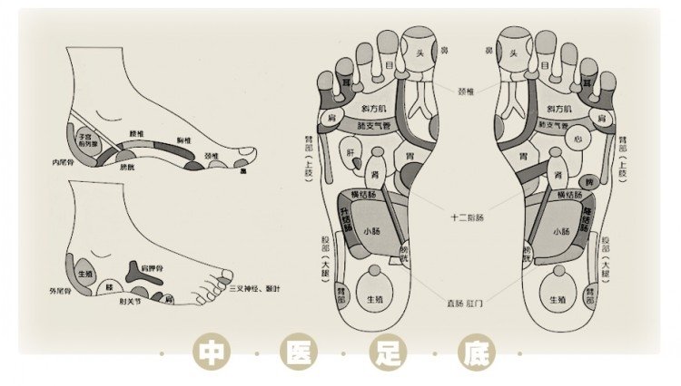 健尔马足疗机按摩器/仪 二代足浴盆AM301足底脚底全自动。