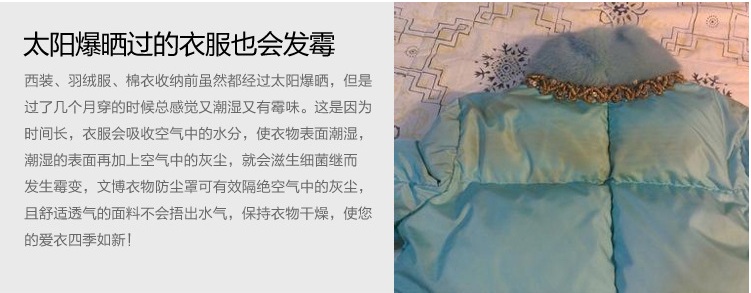 文博 2358系列 衣服彩色透明防尘罩西服防尘罩2只装  60*90CM