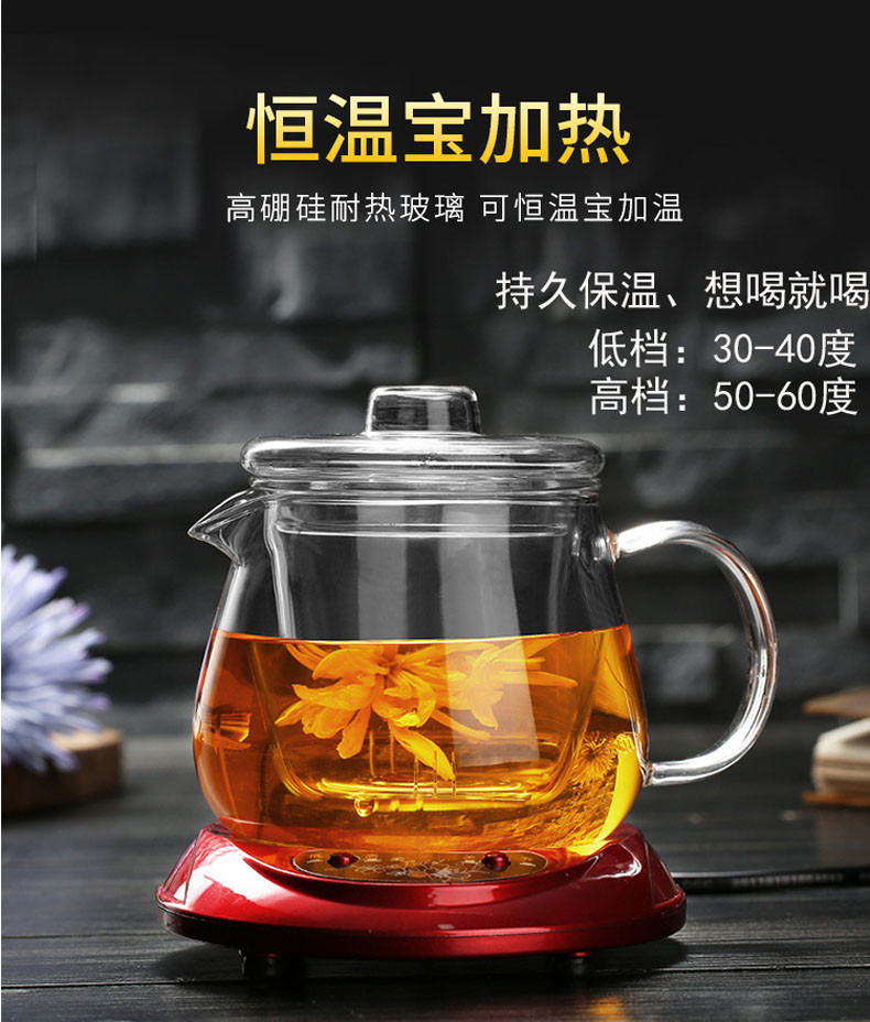 红兔子企鹅煮茶壶耐热玻璃茶具加厚过滤花茶壶可加热养生泡茶壶500ML花茶杯+八个小把杯